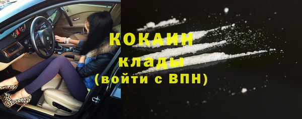 ГАЛЛЮЦИНОГЕННЫЕ ГРИБЫ Пестово