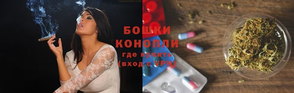 ГАЛЛЮЦИНОГЕННЫЕ ГРИБЫ Пестово