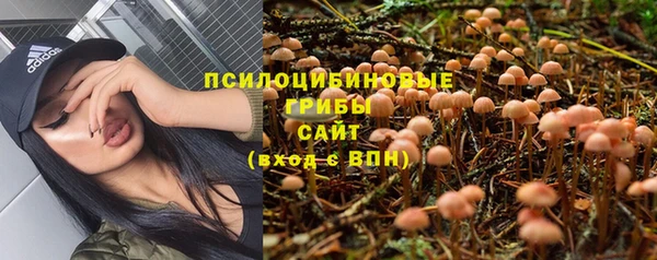 ГАЛЛЮЦИНОГЕННЫЕ ГРИБЫ Пестово