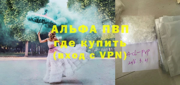 ГАЛЛЮЦИНОГЕННЫЕ ГРИБЫ Пестово