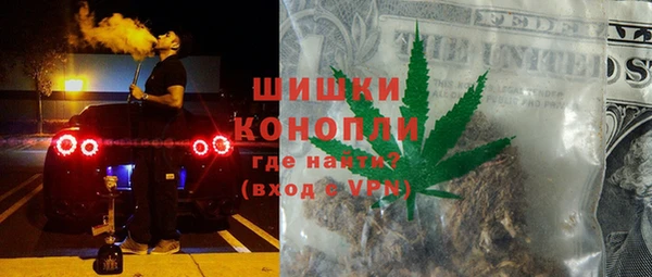 ГАЛЛЮЦИНОГЕННЫЕ ГРИБЫ Пестово