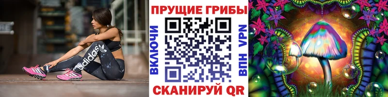 Галлюциногенные грибы прущие грибы  darknet официальный сайт  Уржум 